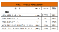 重磅！《人力資源和社會保障事業(yè)發(fā)展